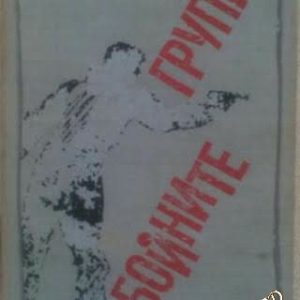 Бойните групи Борис Стойнов