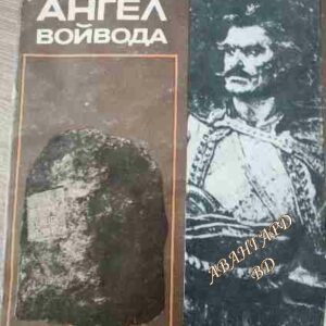 Ангел войвода Руси Димитров